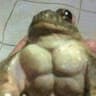 Koekloe