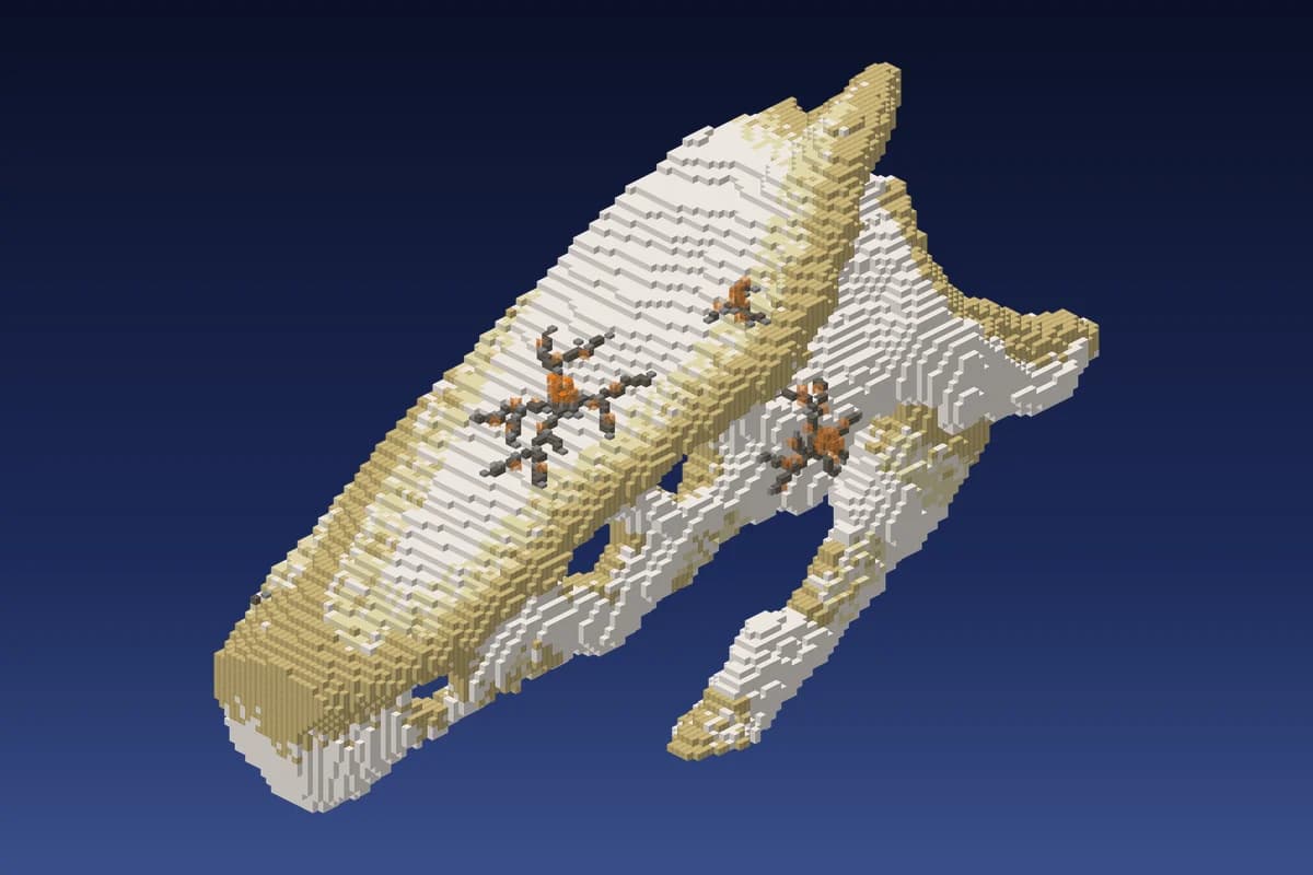 Alien Bone Whale Fossil