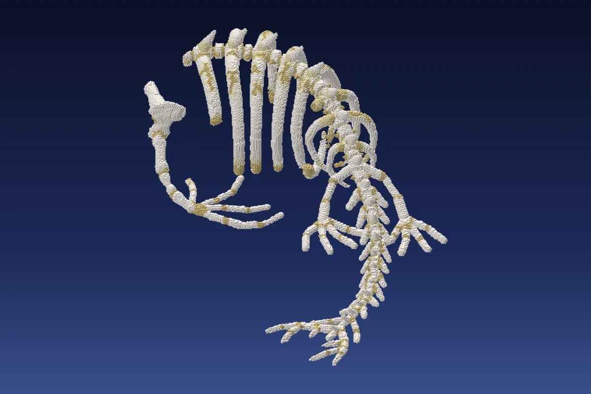 Alien Giant Skeleton
